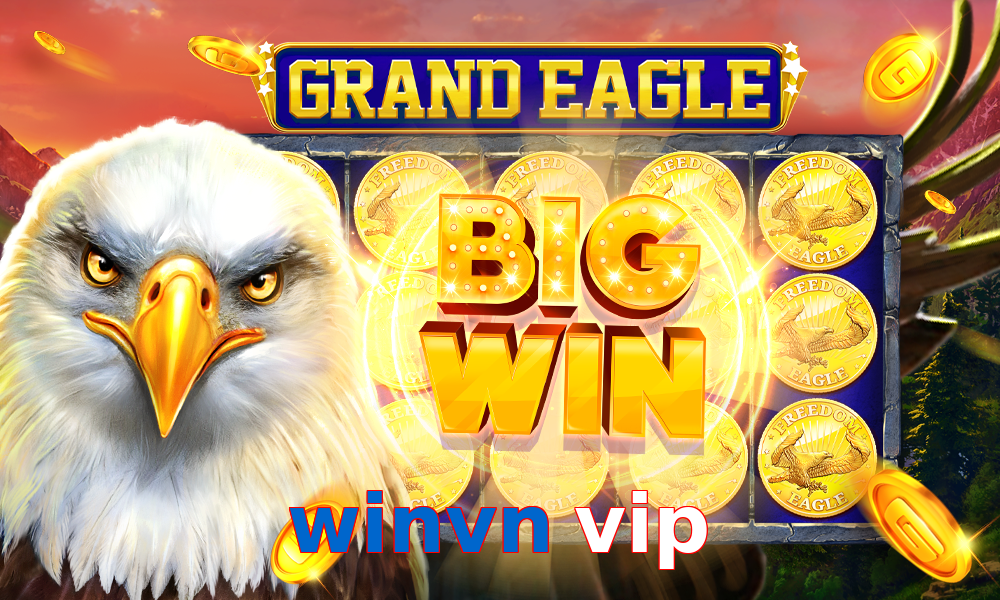 winvn vip