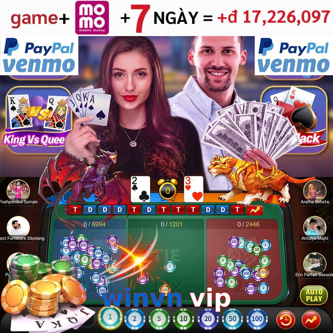 winvn vip