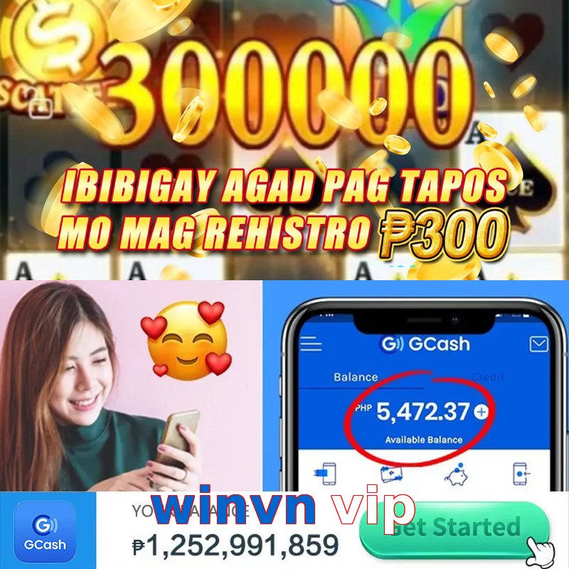 winvn vip