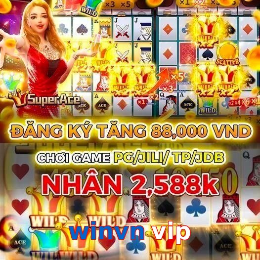 winvn vip