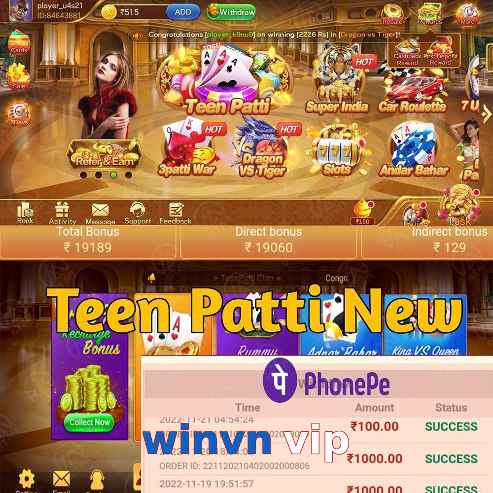 winvn vip
