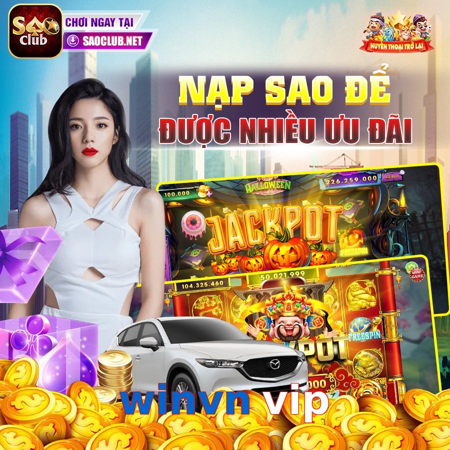 winvn vip